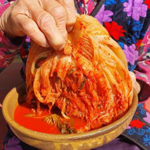 어사김치 전라도 묵은지 김치 2kg 5kg 10kg (국산100%)