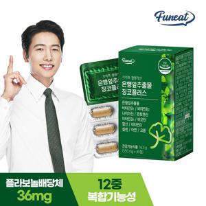 퍼니트 은행잎추출물 징코플러스 30정 * 2박스