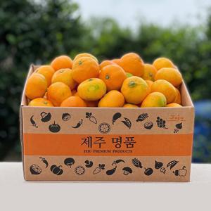 산지직송! 제주 감귤 하우스감귤 노지감귤 타이백감귤 2.5kg 4.5kg