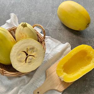 산지직송! 25년 생 국수호박 스파게티 스쿼시 3kg, 5kg
