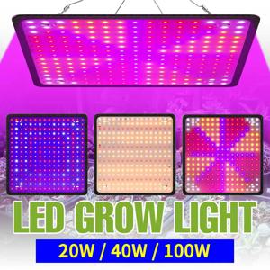 식물을위한 LED 전체 스펙트럼 Phytolamp 성장 빛 실내 꽃 씨앗 수경법 재배 Phyto 램프 양자 보드 LED 빛