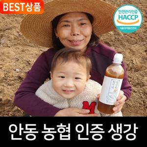 특가_N쇼핑 1위 힘가네 생강청 생강차 600g~