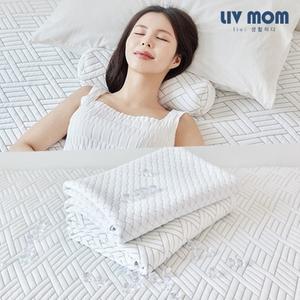 듀라쿨 냉감 안녕거북이 경추베개 1개당 9천원대 초특가