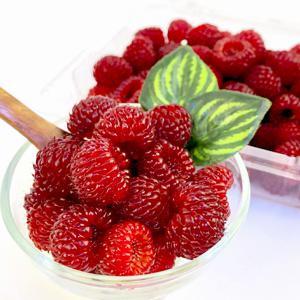 김해 산딸기 생과 250g (아이스박스+아이스팩 포장) 외