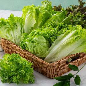 (신선집중) 10%/ 유럽샐러드 1kg(4-5종) / 모듬쌈채소 /GAP인증