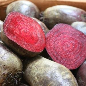 햇 레드비트 제주비트 생 비트  (옵션 : 레드비트 5kg 특품)