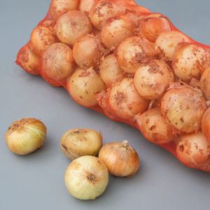 양파 특 5kg (햇양파 선별 후 보내드려요)