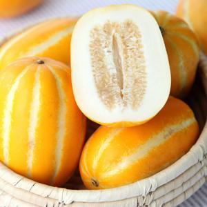 제철 여름과일 특품 꿀 성주 참외 2Kg 3Kg 외 (소/중/대)