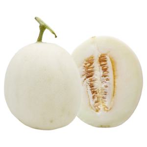 수신메론 멜론 2kg 2-3수 / 천안수신메론