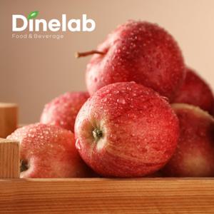 다인랩 오늘담은 못난이 사과 4kg(쥬스용/랜덤과)