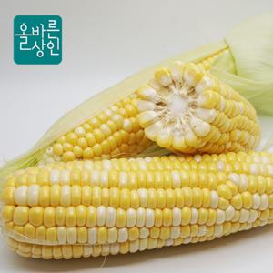 초당옥수수 특품 꼼꼼한선별 가식부위 14cm이상 5개