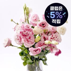 화훼 농가 살리기 리시안셔스 생화 꽃배달 정직한반단 색상혼합 보존제증정 특상품 품질 좋은 오래보는꽃
