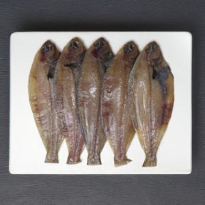 (신선집중) 국내산 반건조 가자미 8미 총 1kg 소자