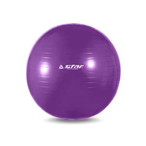 스타 짐볼 보라 EB200-08 65cm (1개)