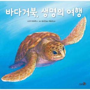 [천개의바람] 바다거북 생명의 여행