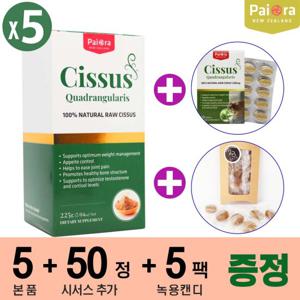 뉴질랜드 파이오라 시서스 225g 5개 + 시서스 50정 + 뉴질랜드 녹용캔디 5팩 (30S)