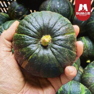 [마녀바스켓] 미니밤호박 보우짱 2kg 랜덤과(소과or로얄과)