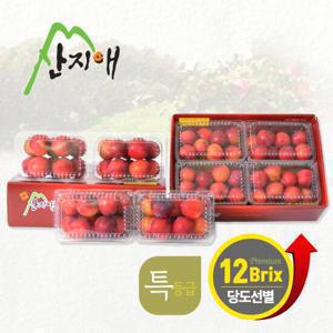 산지애 자두 6kg (750g * 8팩)