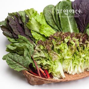 충주 친환경 유기농 쌈채소 600g