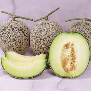 국내산 고당도 멜론 머스크메론 8kg (5-6수)
