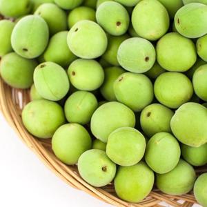 [더조은] 25년 순천 청매실 10kg 왕특