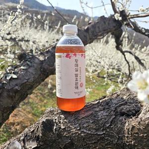 [산정마을] 신선함이 담긴 매실 액기스 발효액 황매실청 황매실원액 1000ml