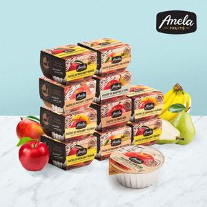 [아넬라] 100%생과일 프리미엄디저트 10팩(100g x 20개입)