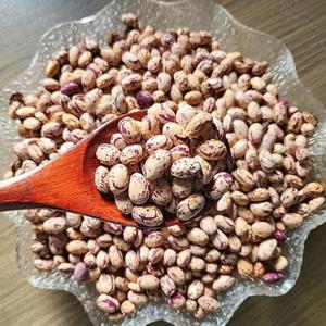 국내산 호랑이 강낭콩 2kg