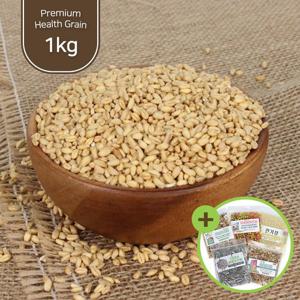 건강알곡 통밀 1kg 앵무새 햄스터 소동물 간식 사료
