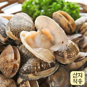 품질보장 제철 통영 다이버 왕바지락 2kg
