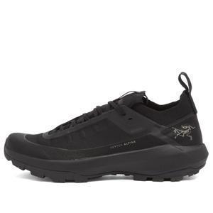 아크테릭스 Arcteryx Vertex Alpine Gore Tex Sneakers X000009602-021572