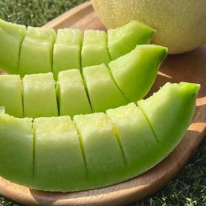 국내 토종 고당도 제철 하니원멜론 (2수~4수 중과/대과 택1) 회장님멜론