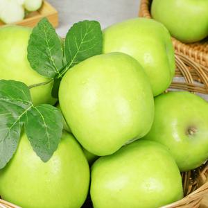 아오리 썸머킹 청사과 1kg~10kg 중소과/중과 가정용 못난이 흠과