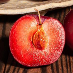 특이품종! 산지직송 경북 경산 피자두 혼합과 1kg~5kg