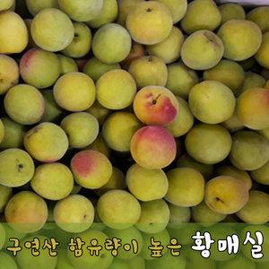 황매실10KG 엑기스용대 특대 왕특 무료배송 6770695