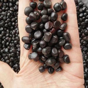 1 LB Rockii 모란 무단 씨앗, 정원용 Mu Dan 씨앗 식물