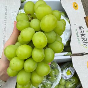 샤인머스켓 특품 2kg 4수 탱글탱글한 맛의 과일 농산물 음식