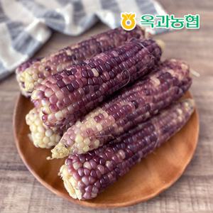 [옥과농협]산지직송 햇 흑찰옥수수 특품 10개 외