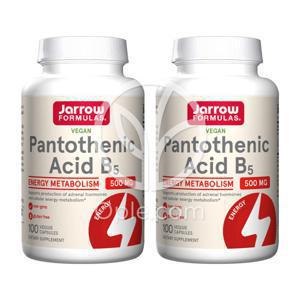 (오플닷컴) 2개 판토텐산 500 mg 100 베지 캡슐 비타민 B5 칼슘함유 비건 100 베지캡슐 빠른직구