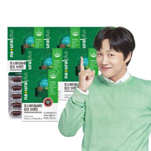 내츄럴플러스 포스파티딜세린 징코 브레인 6박스 은행잎추출물 비타민E 기억력 인지력 개선