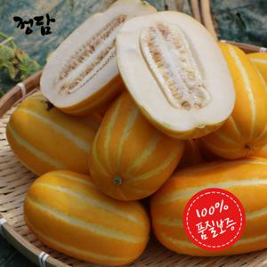 고당도 산지직송 성주 햇 참외 가정용 3kg 랜덤
