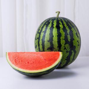 수박 하우스 꿀수박 4-5kg