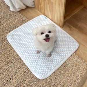 수오 스타트슬립 강아지 고양이 냉감 쿨매트/패드 방석 SU_NDCPAD