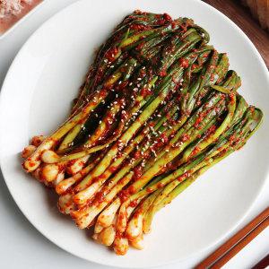(신선집중) 율스키친X함평댁 국내산 파김치 1kg