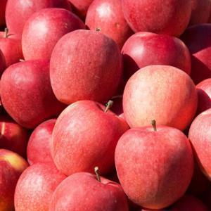 1+1 거창 꿀 사과 5KG 대과 (총 10KG 발송) 초특가 행사중