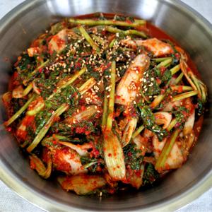 양념가득 전라도 얼갈이열무김치 2kg 국내산100%