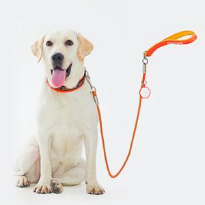 강아지 대형견 중형견 반려견 개 리드줄 리쉬 산책줄 줄 로프 끈 추천 1.6m + 배변봉투 1롤(15매) 증정