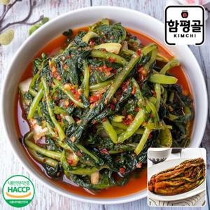 [함평골김치] 감칠맛이 풍부한 전라도 열무김치3kg+갓김치2kg