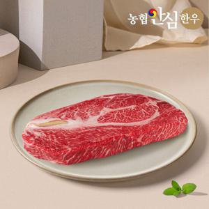 농협안심한우 1++등급 한우 등심 500g