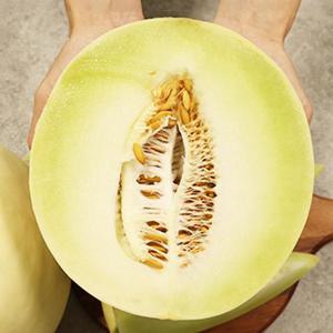 고당도 멜론 허니듀 메론 대과 2-3수 (7kg 내외)